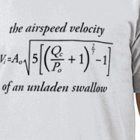 The Airspeed Velocity of an Unladen Swallow T-shirt