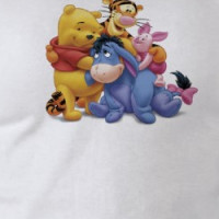 Winne the Pooh and Friends Disney T-shirt